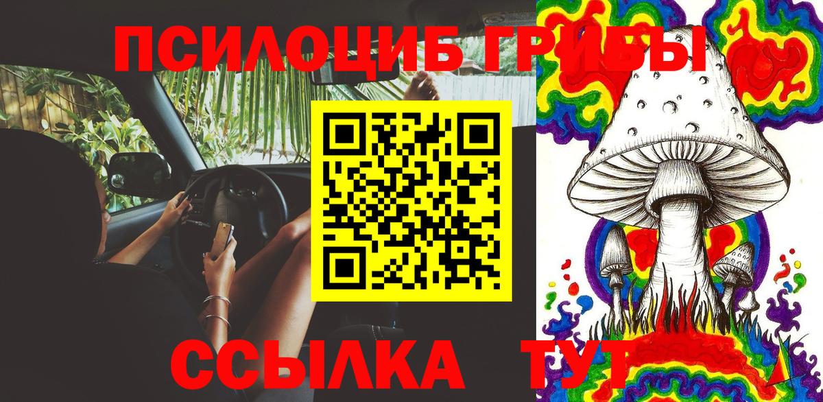 Кстово  Псилоцибиновые грибы GOLDEN TEACHER  Вход с VPN 